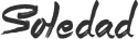 A WordPress Site